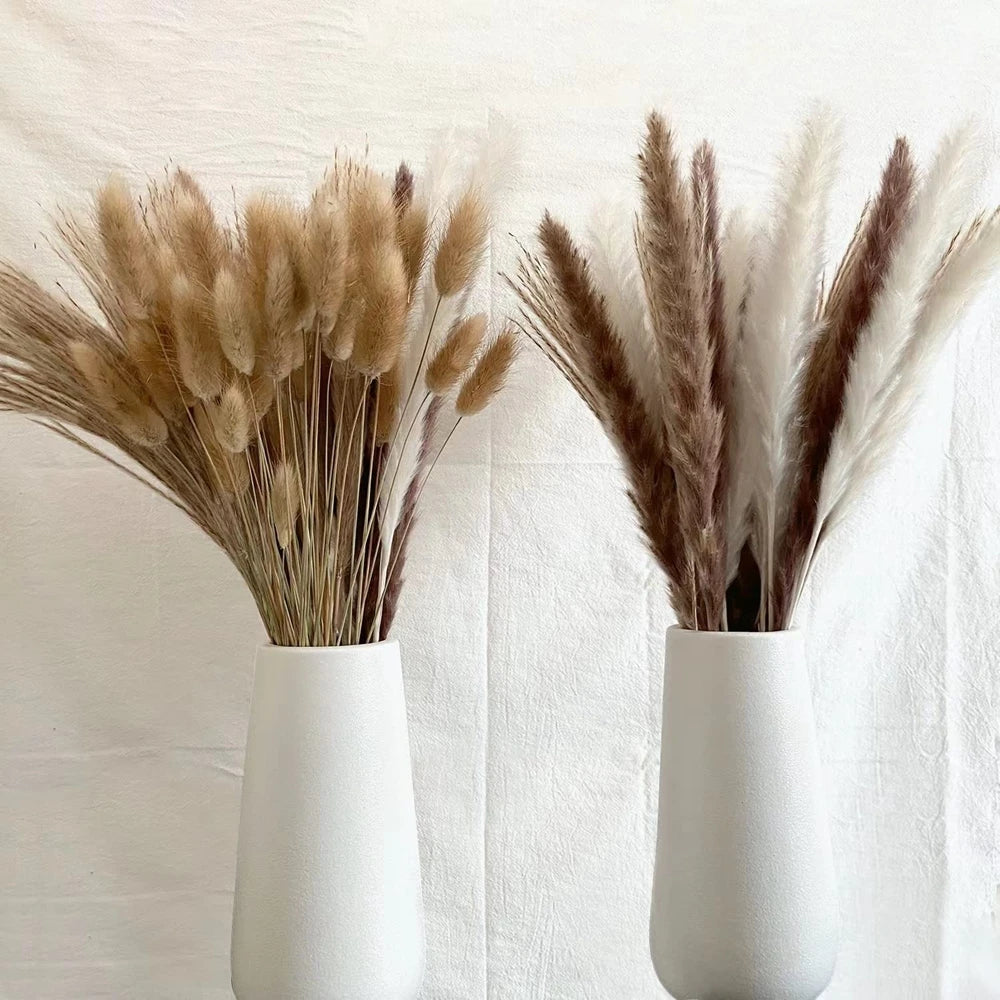 Earthly Ello Natural Dried Tall Pampas Set 30-100Pcs Bouquet Boho Decor