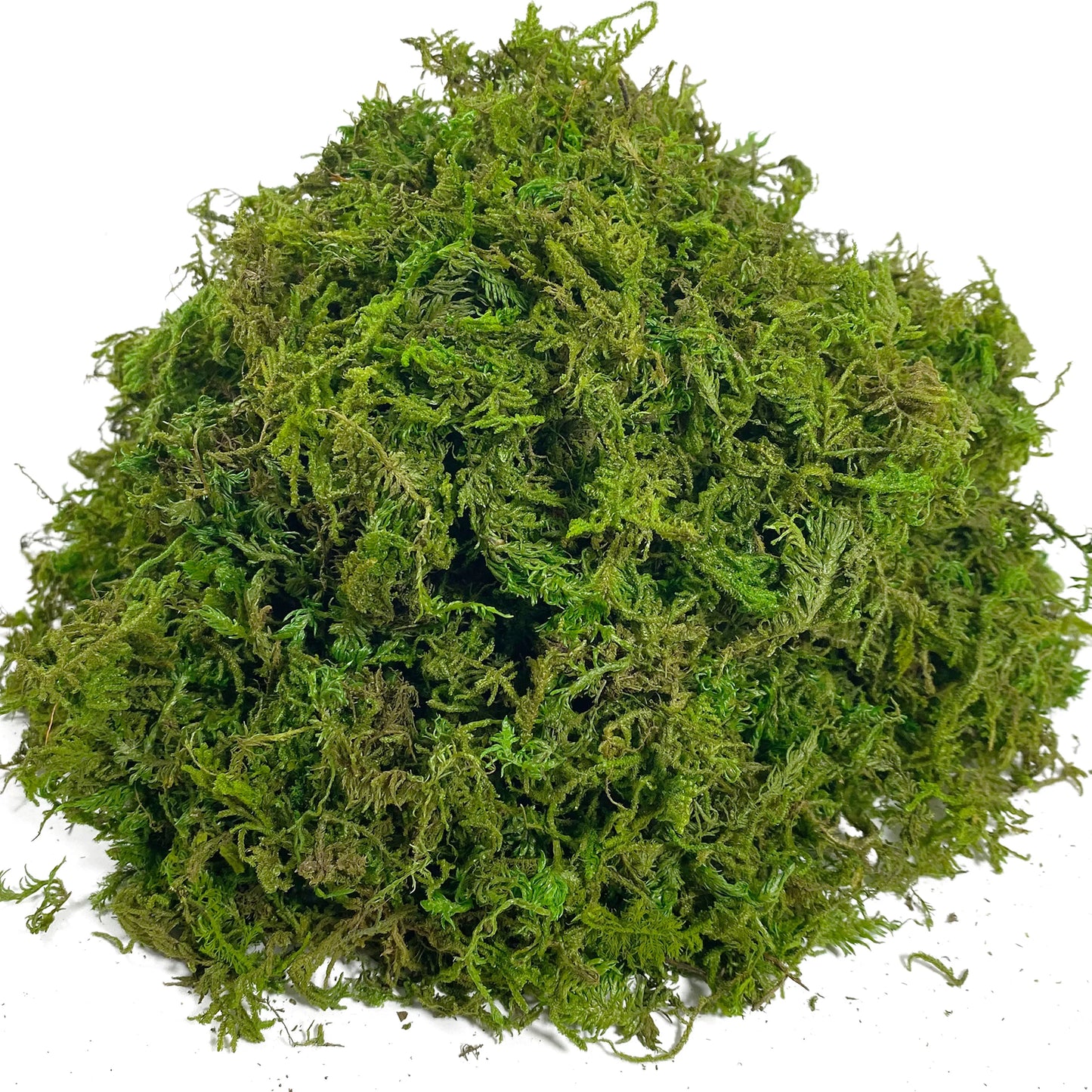 Earthly Ello Fake Moss Artificial Moss for Potted Plants Home Decor