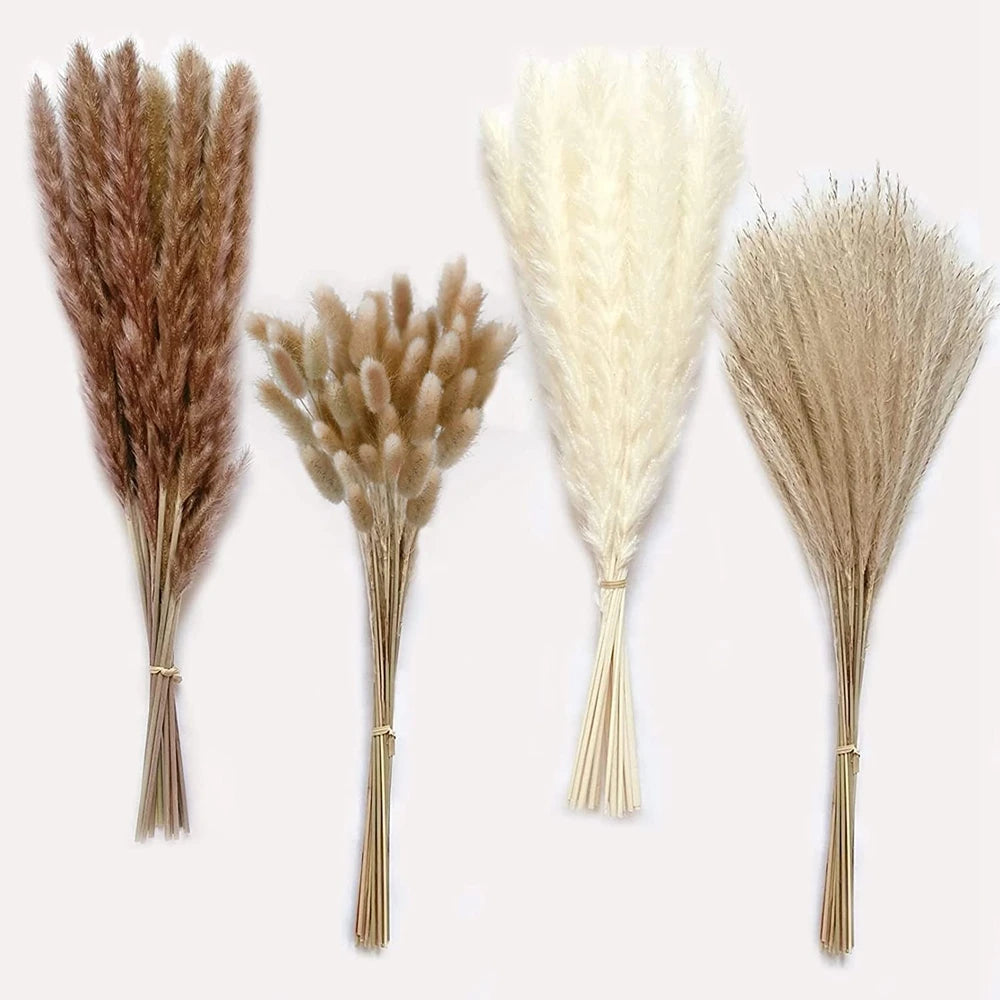 Earthly Ello Natural Dried Tall Pampas Set 30-100Pcs Bouquet Boho Decor