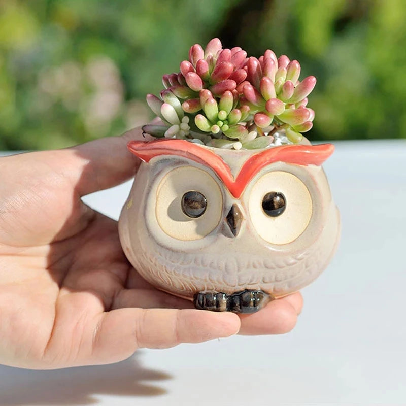 Earthly Ello Cute Owl Ceramic Mini Pots - 1pc