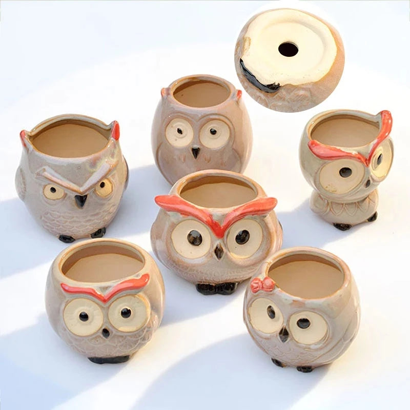 Earthly Ello Cute Owl Ceramic Mini Pots - 1pc