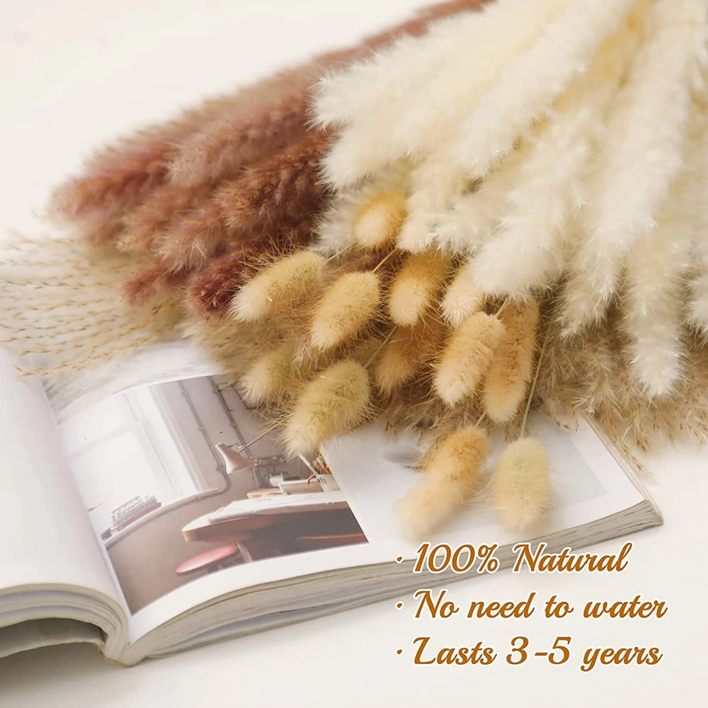 Earthly Ello Natural Dried Tall Pampas Set 30-100Pcs Bouquet Boho Decor