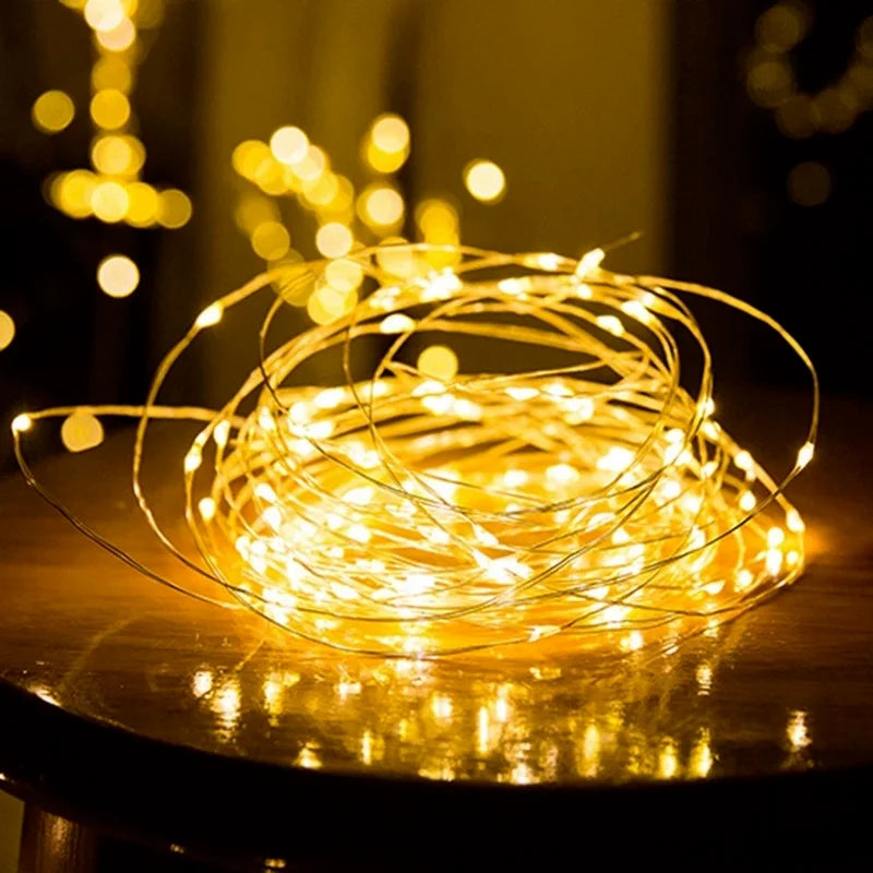 Earthly Ello LED Fairy Copper Wire String Lights