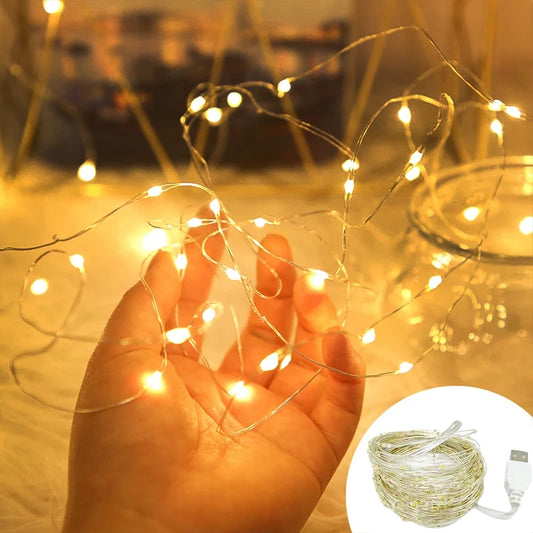 Earthly Ello LED Fairy Copper Wire String Lights