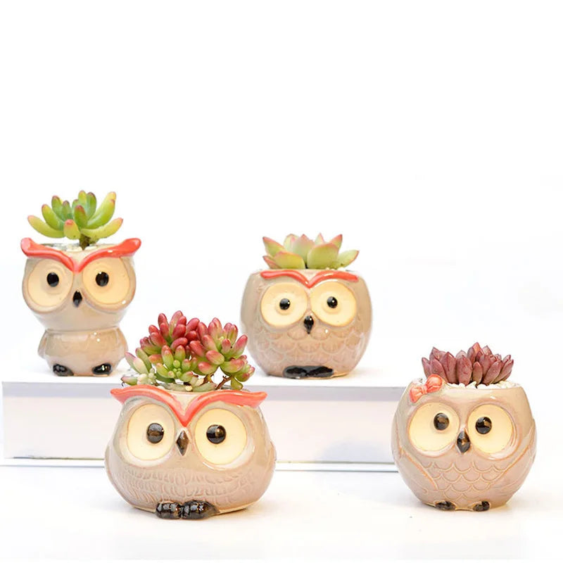 Earthly Ello Cute Owl Ceramic Mini Pots - 1pc