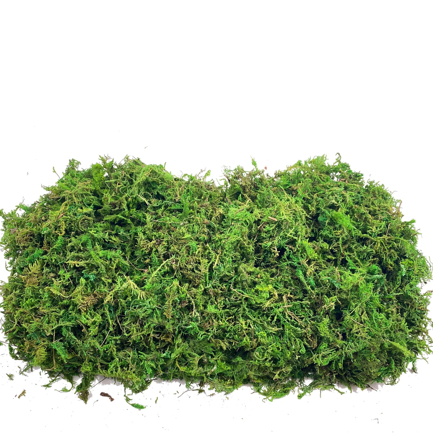 Earthly Ello Fake Moss Artificial Moss for Potted Plants Home Decor