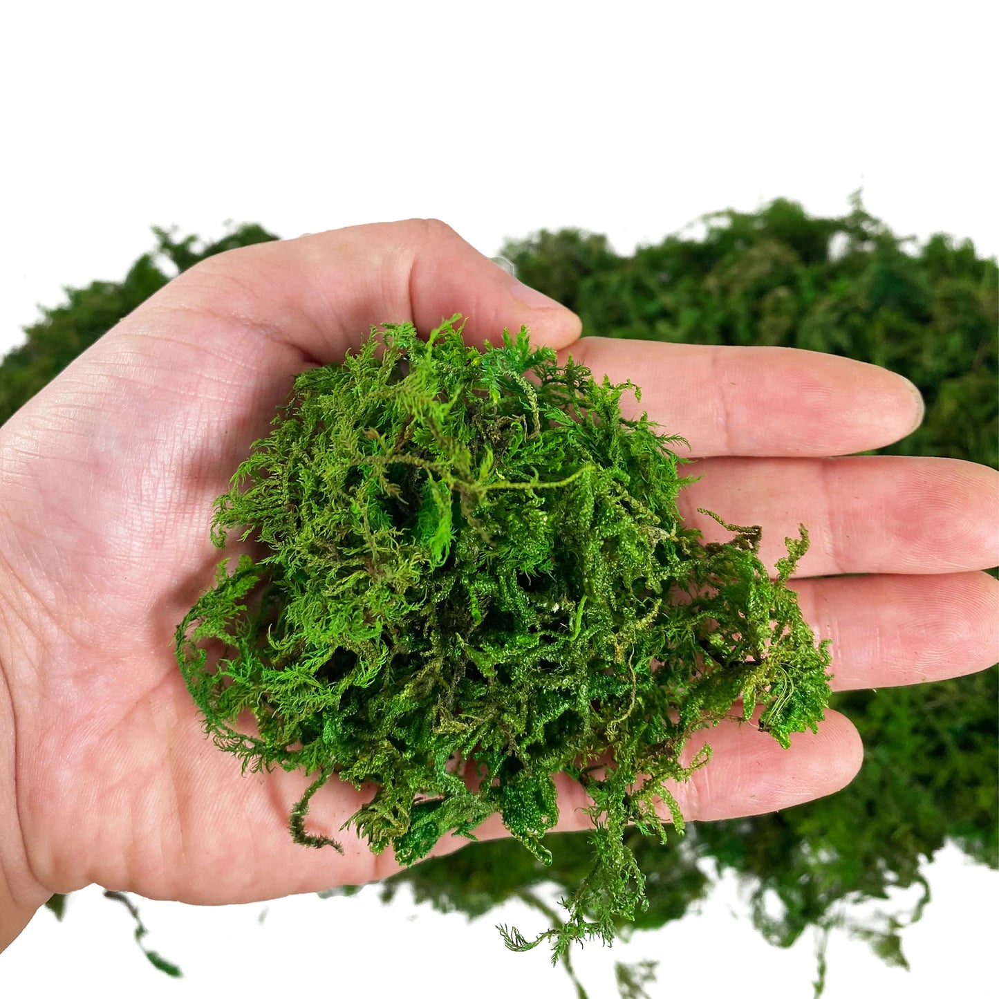 Earthly Ello Fake Moss Artificial Moss for Potted Plants Home Decor