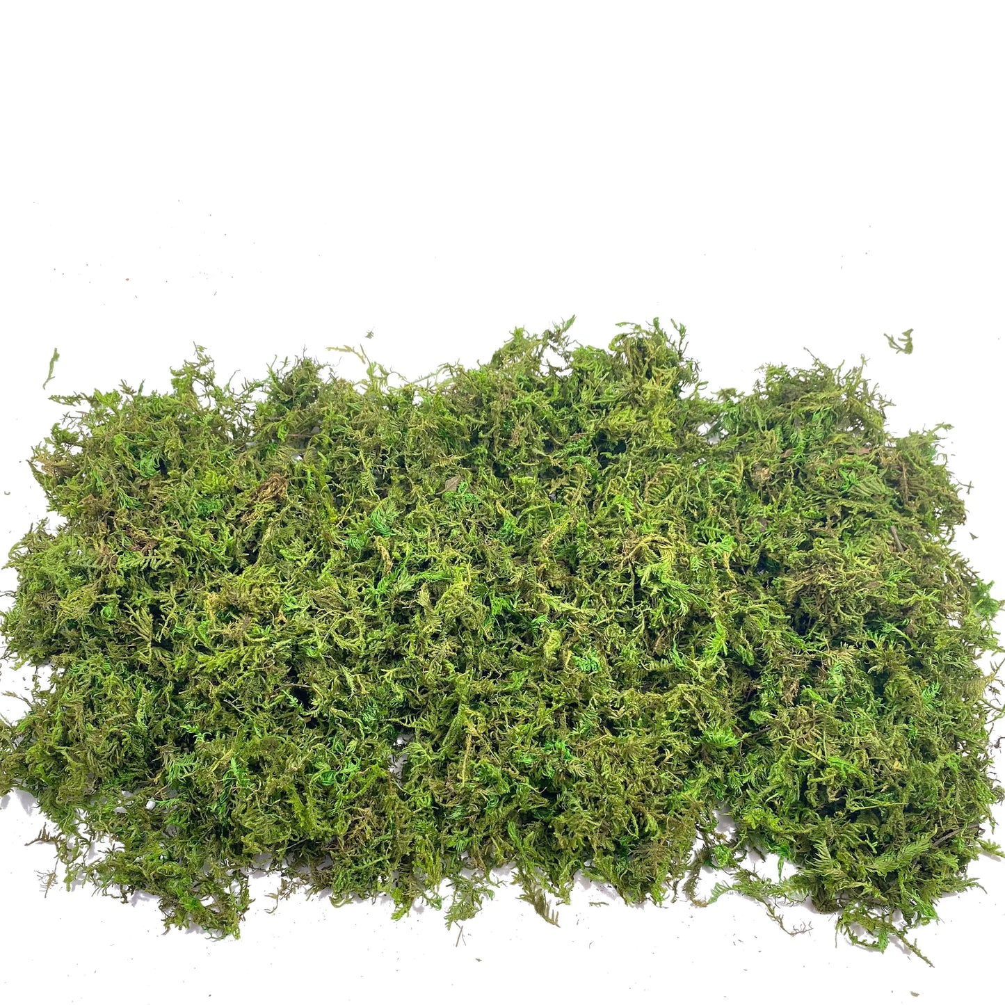 Earthly Ello Fake Moss Artificial Moss for Potted Plants Home Decor