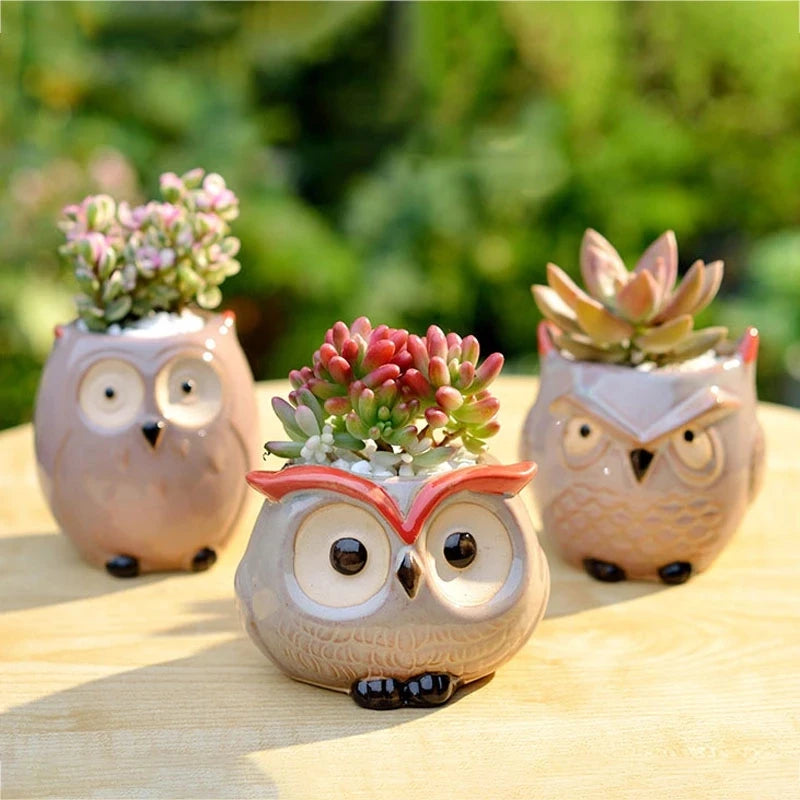 Earthly Ello Cute Owl Ceramic Mini Pots - 1pc