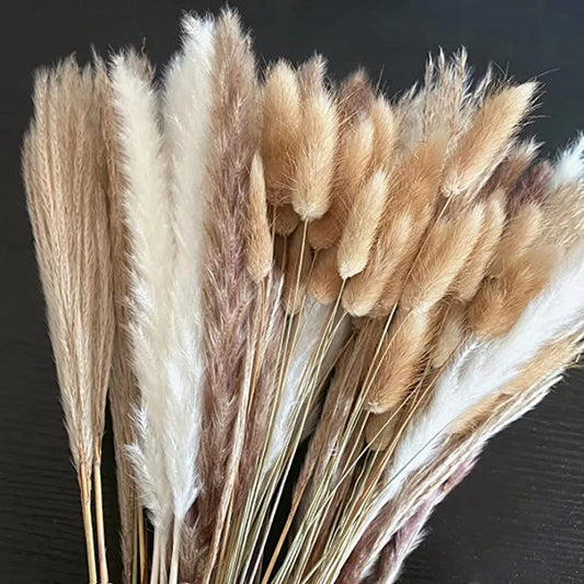 Earthly Ello Natural Dried Tall Pampas Set 30-100Pcs Bouquet Boho Decor